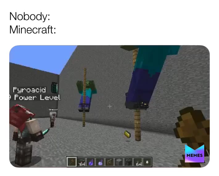 What the heck   #holdup  #minecraft