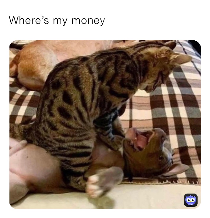 Where’s my money 