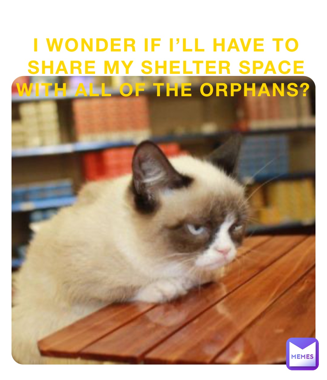 I wonder if I’ll have to share my shelter space with all of the orphans?