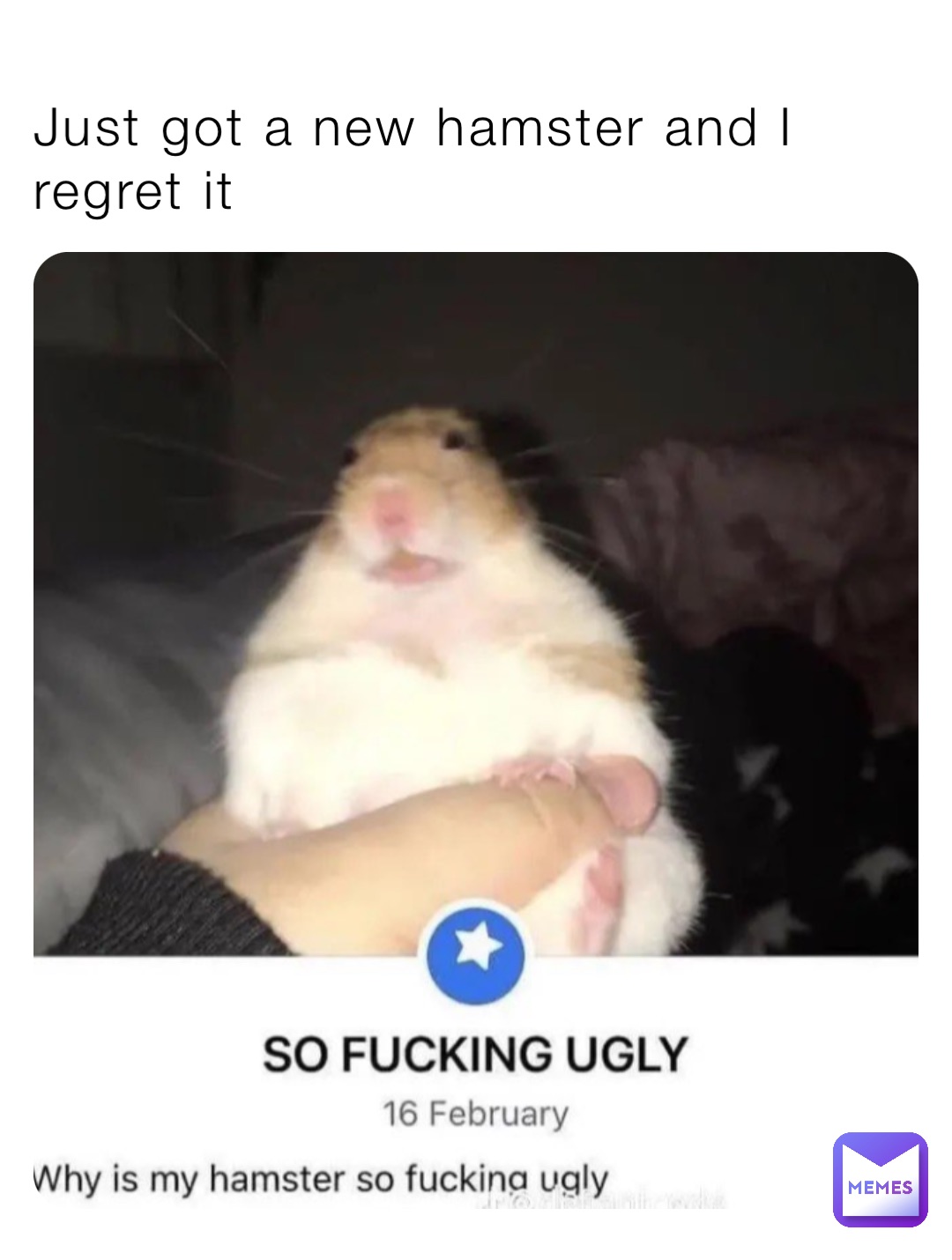 Just got a new hamster and I regret it