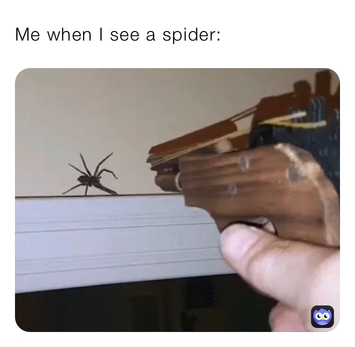 Me when I see a spider: