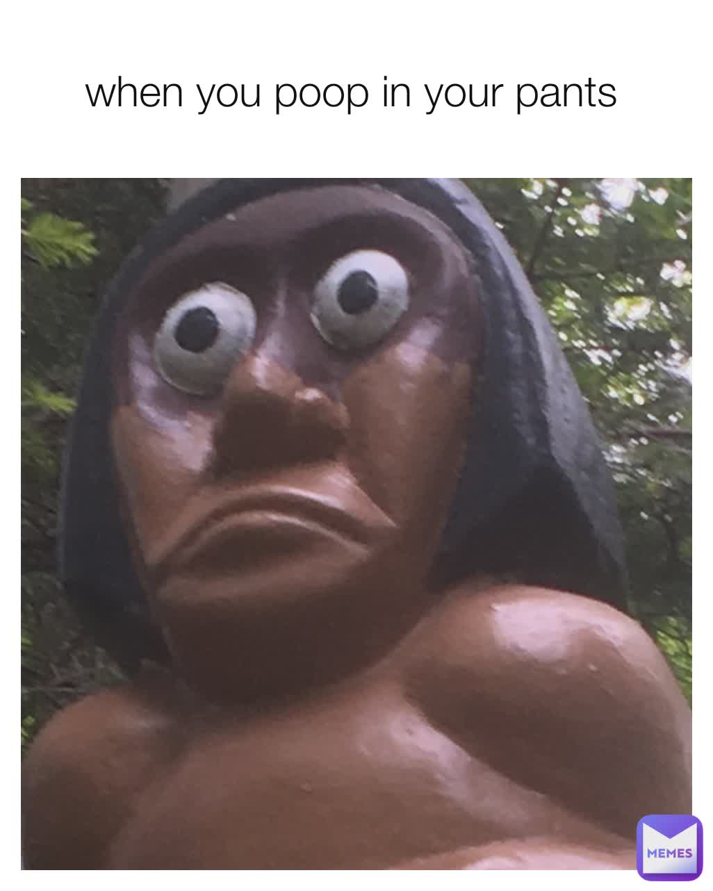 when you poop in your pants 