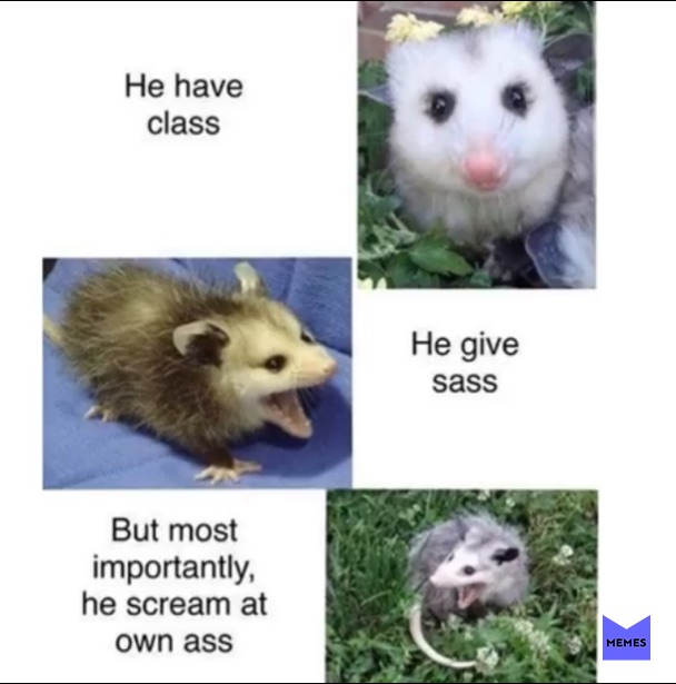 Meme by Ellaphant_spicywoman