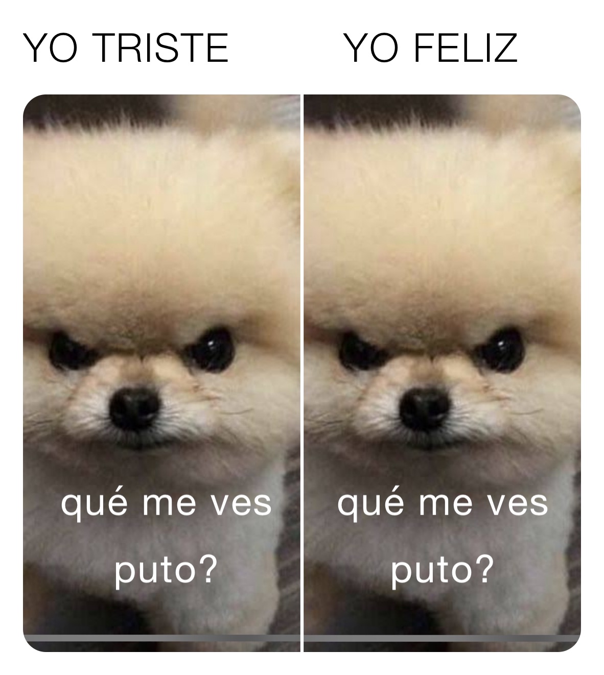 YO TRISTE         YO FELIZ