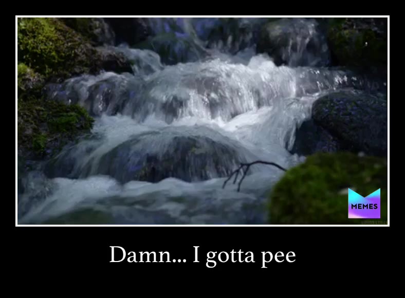 Meme shared by @Chef_This