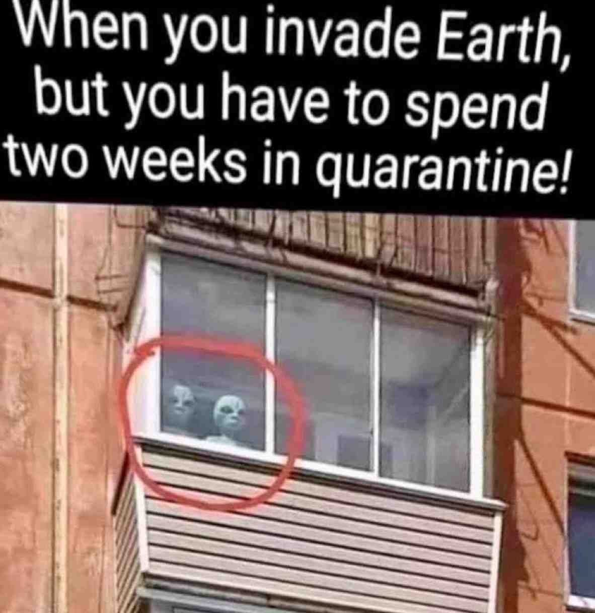 #lol #laugh #Covid #corona #memes #meme #coronamemes #sundayfunday #sunday #sundayvibes #covid19 #covid_19