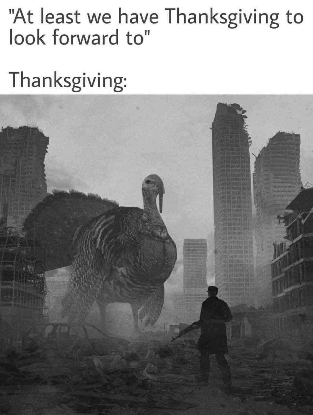 You know what, it would surprise me if this happened...
.
.
#2020 #thanksgiving #lol #lmao #funny #funnymemes #memes #fridayvibes #fridayfunny #flexfriday #fbf