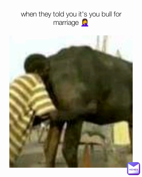 When They Told You Its You Bull For Marriage 🤦 Manokjoshua Memes