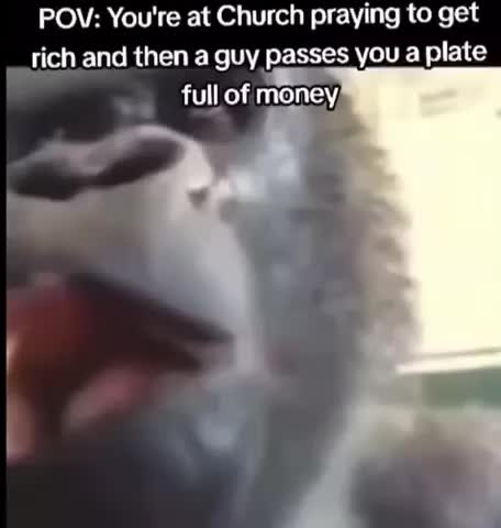 Meme shared by @Im_in_your_walls.exe