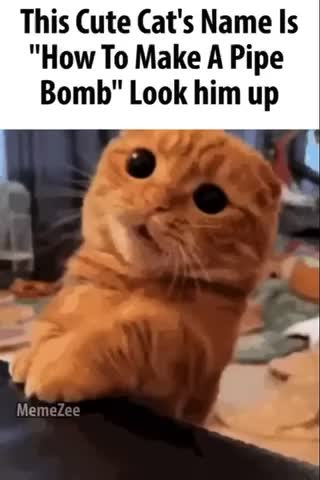 Meme shared by @Im_in_your_walls.exe