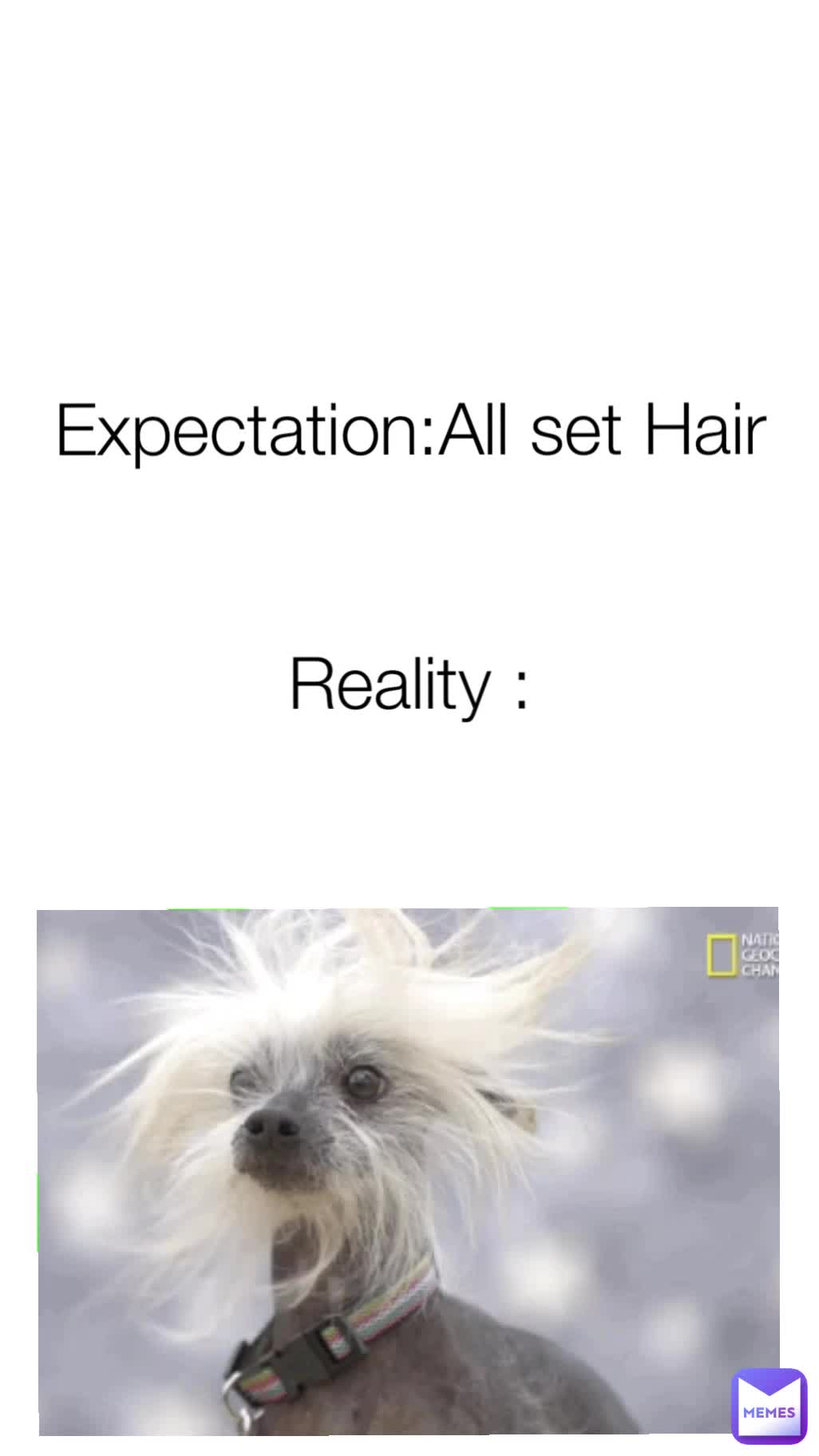 Meme shared by @Gurl_memer9