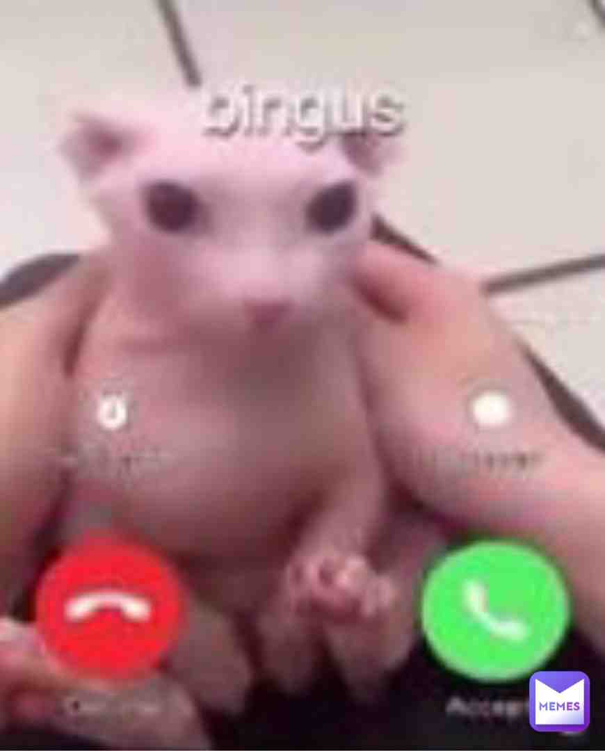 Pick up the phone