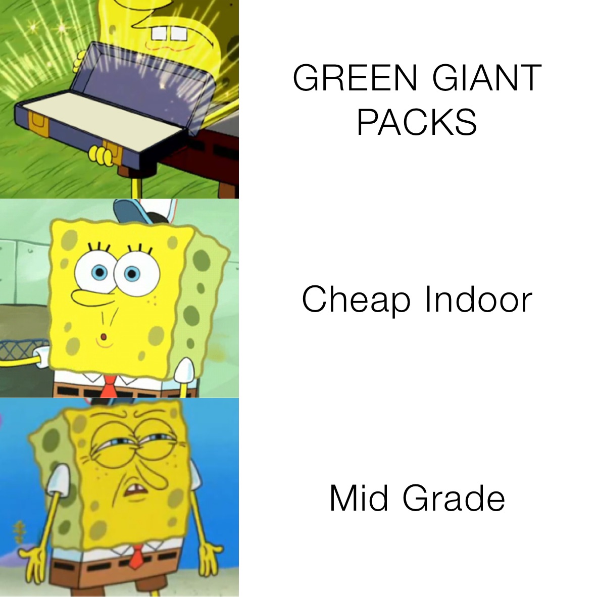 GREEN GIANT PACKS Cheap Indoor Mid Grade