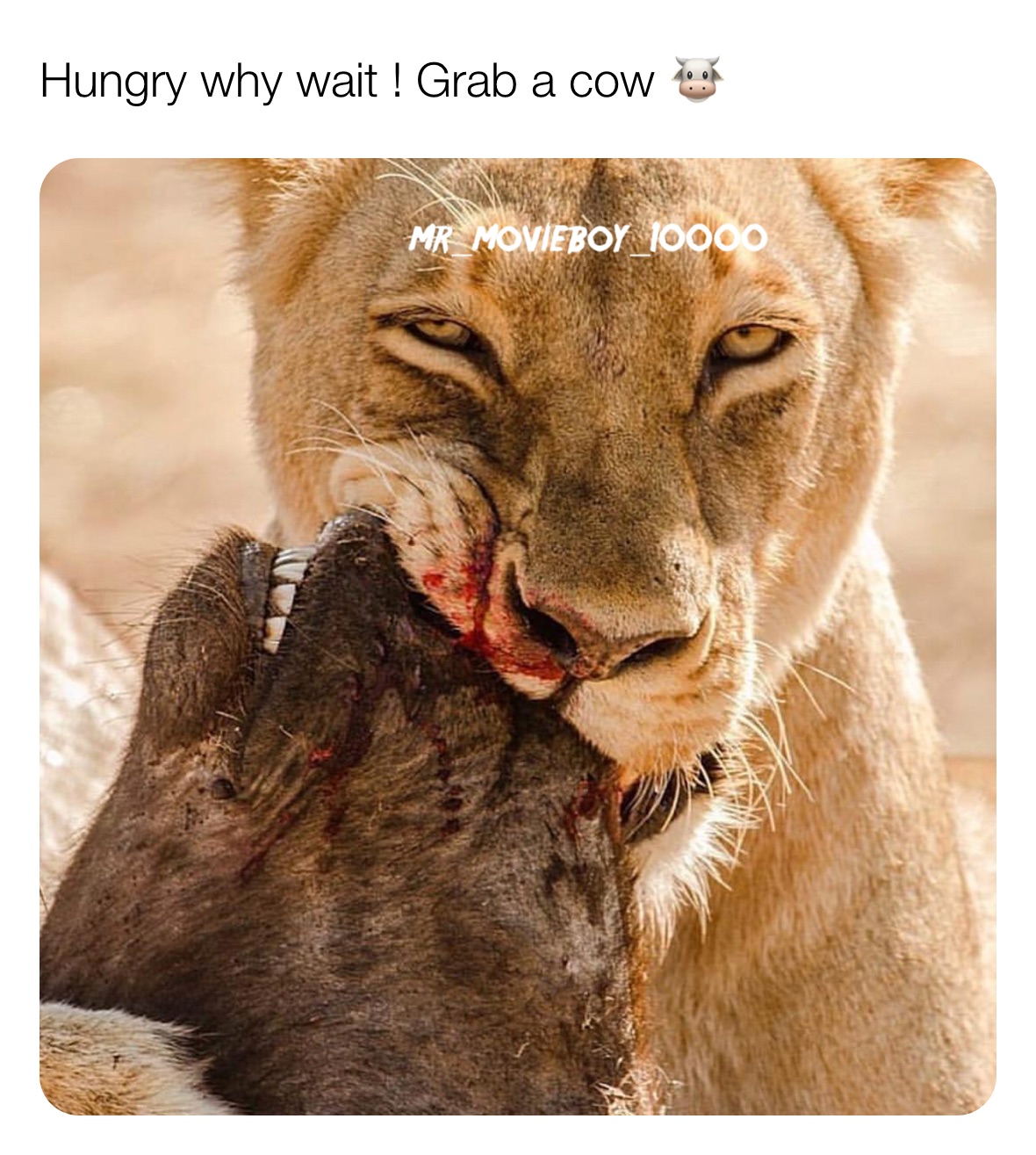 Meme by movieboy10000