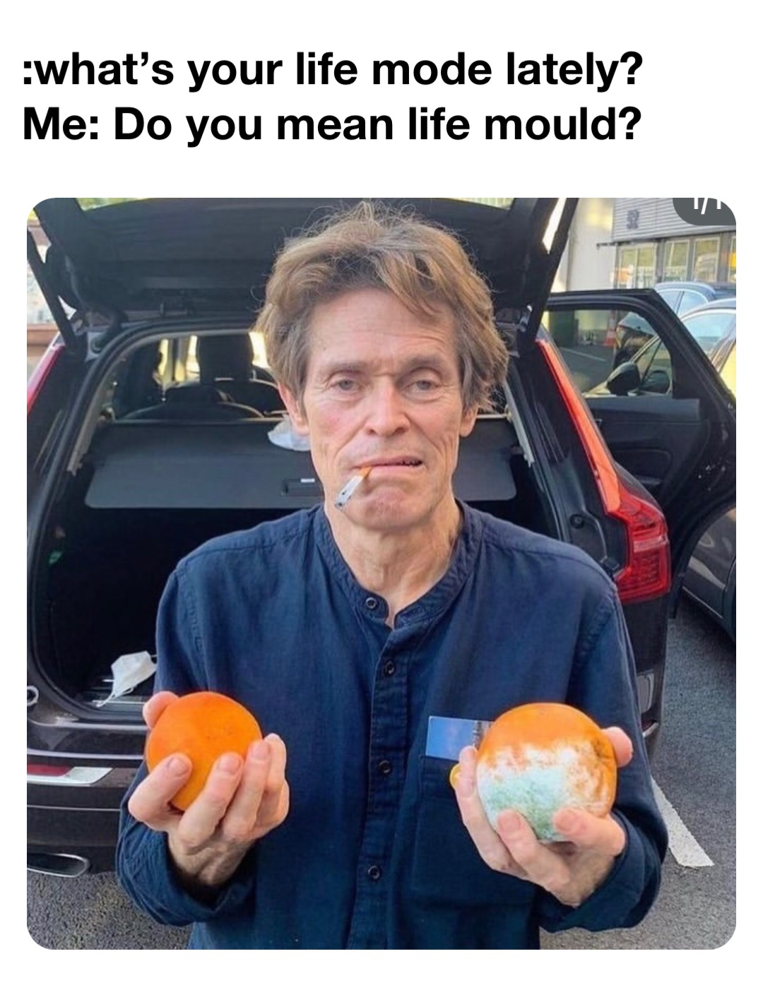 :what’s your life mode lately?
Me: Do you mean life mould?