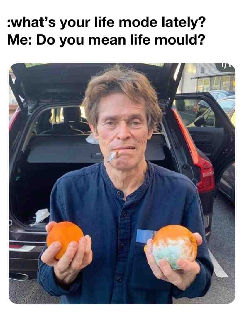 #depressivememe  #memesdaily  #mentalhealthmeme  #pun