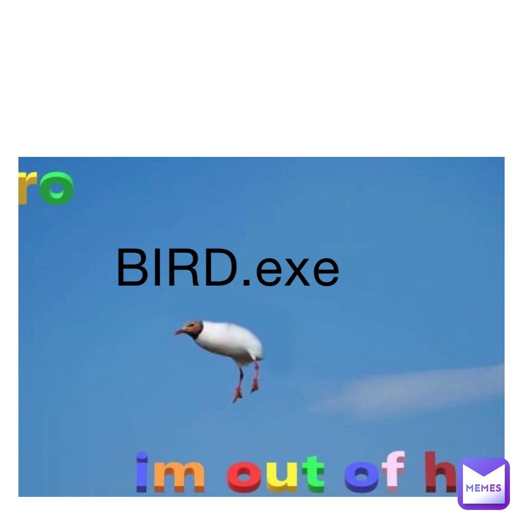 BIRD.exe
