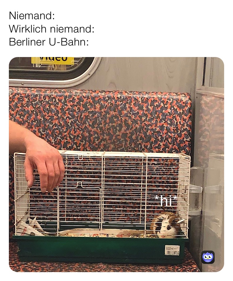 Niemand: 
Wirklich niemand: 
Berliner U-Bahn: 