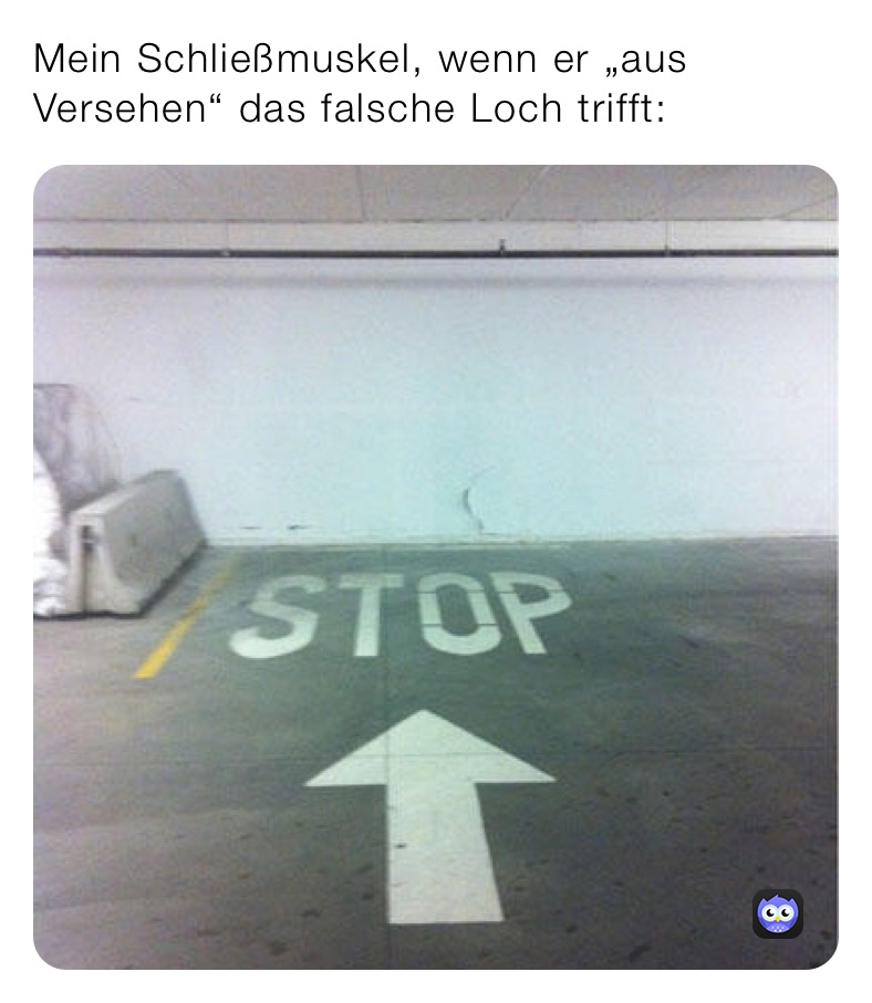 Mein Schließmuskel, wenn er „aus Versehen“ das falsche Loch trifft ...