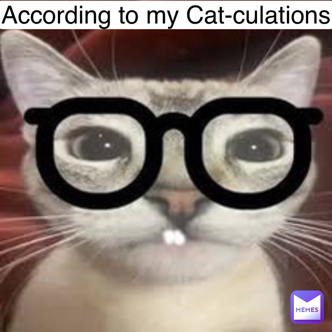 According to my Cat-culations