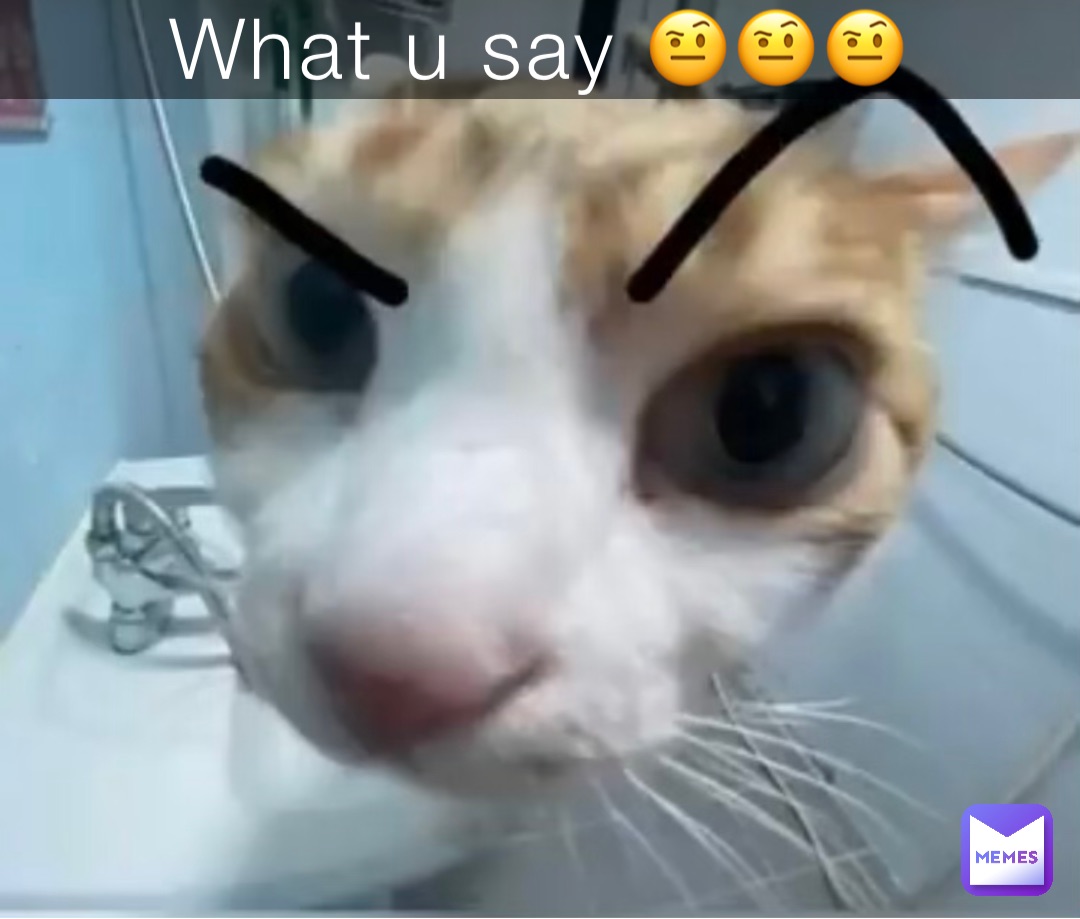 Meme by CatMemesBestMemes