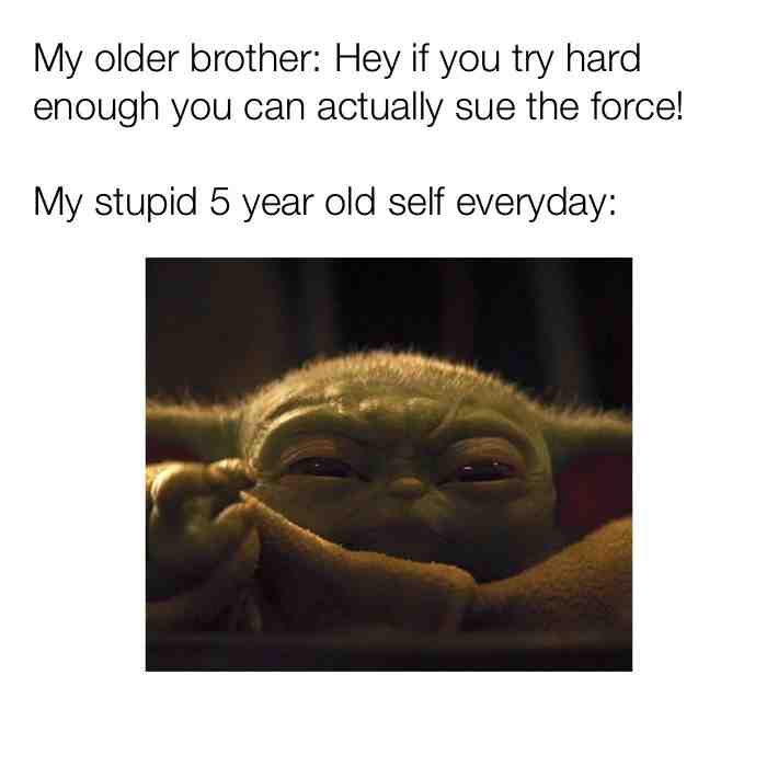 I only found out he was lying after my mum told me \ud83d\ude14
\u200b #meme #truthhurts #reality #lol #starwars