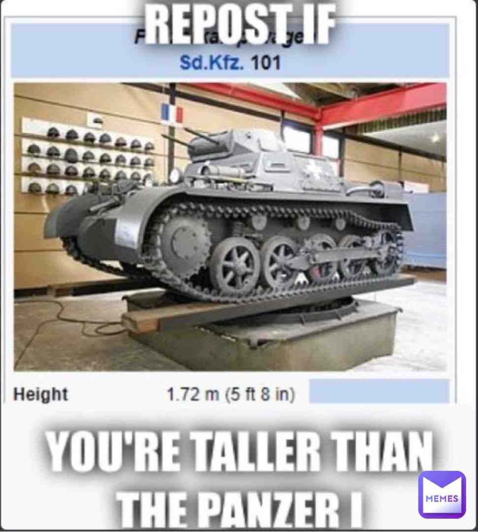 I am just BARELY Taller than a Panzer I
