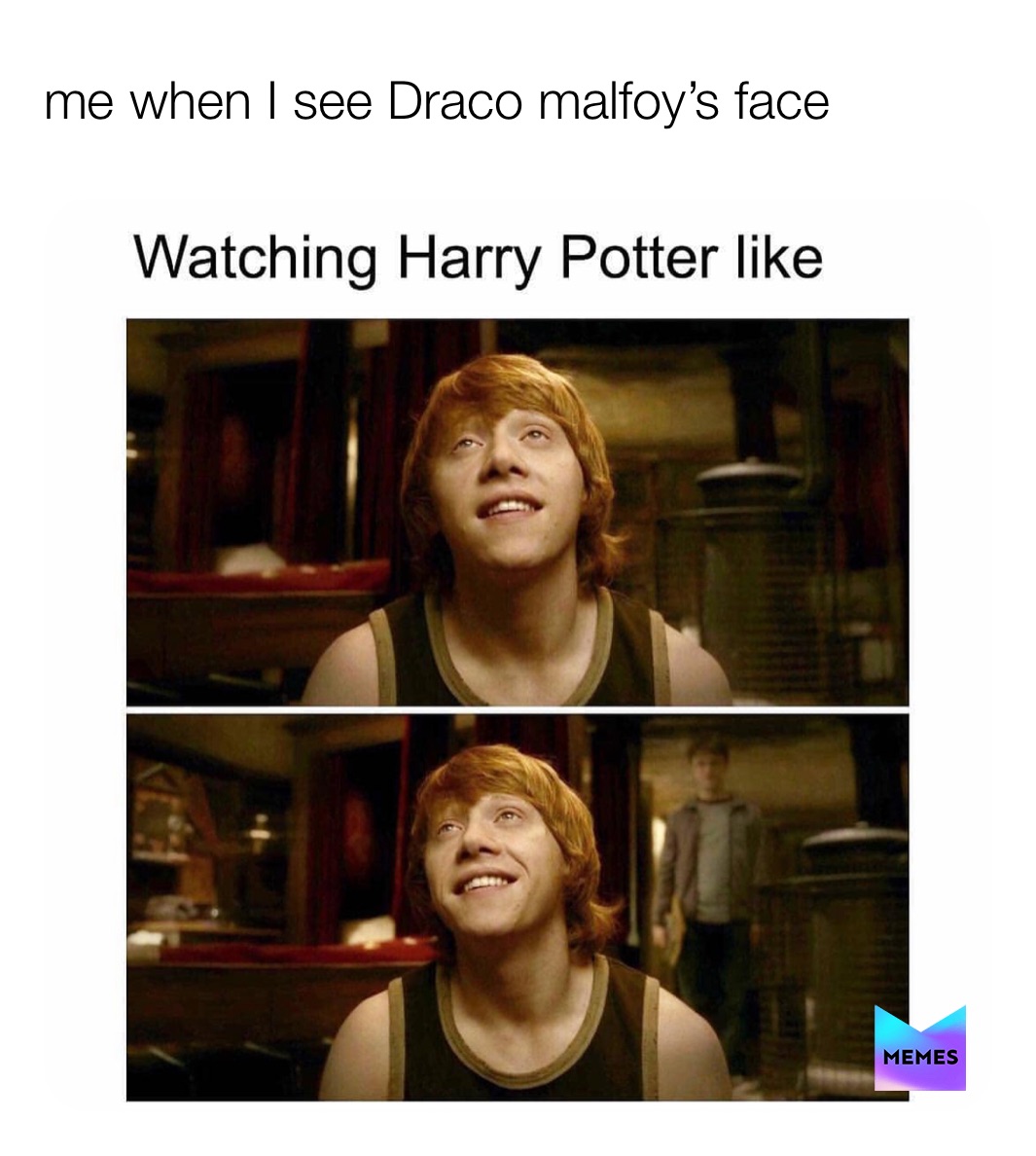 Harry Potter Memes - Harry and Draco.