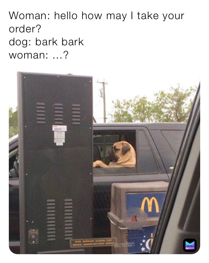 Woman: hello how may I take your order?
dog: bark bark
woman: ...?