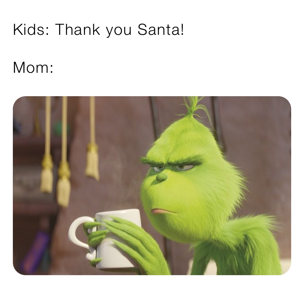 Kids: Thank you Santa!

Mom: