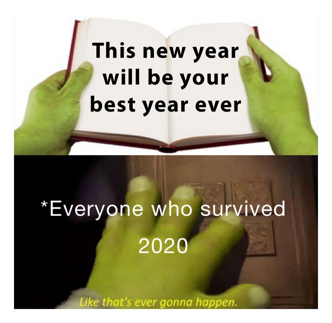 This new year will be your best year ever | @tna2200 | Memes