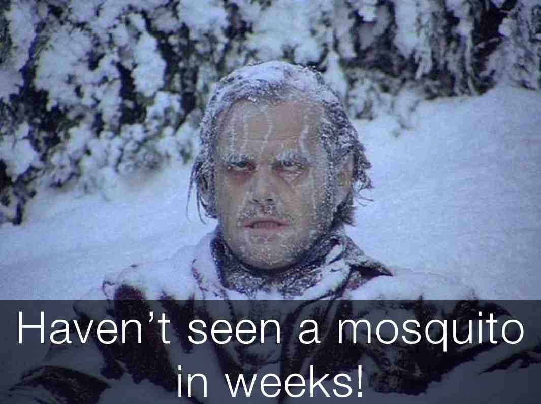 It’s so cold! Trying to stay positive. #cold #winter #imisssummer
