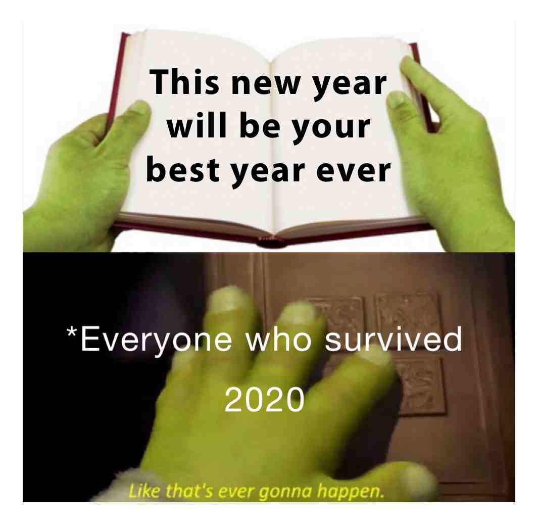 I may never say “Happy New Year” again #2020 #2020memes #quietdown