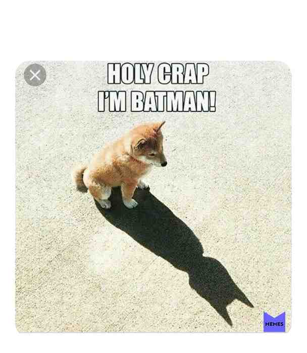 Meme shared by @unicorn_lover_200