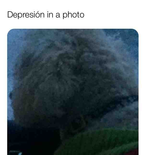 Meme shared by @unicorn_lover_200