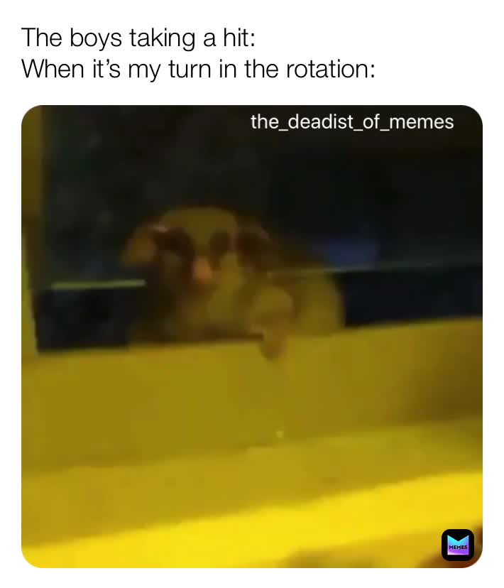 #memes  #meme  #funny  #funnymemes   #qualitymemes bruh
