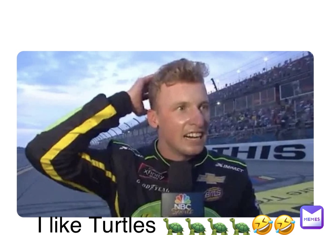 Double tap to edit I like Turtles 🐢🐢🐢🐢🤣🤣