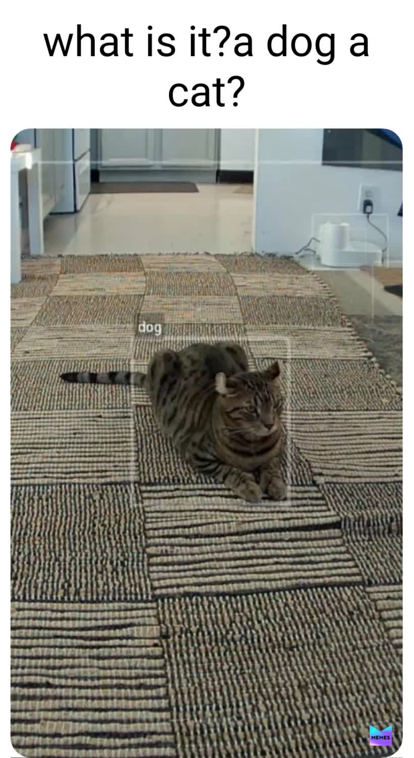 Meme by memes.for.days