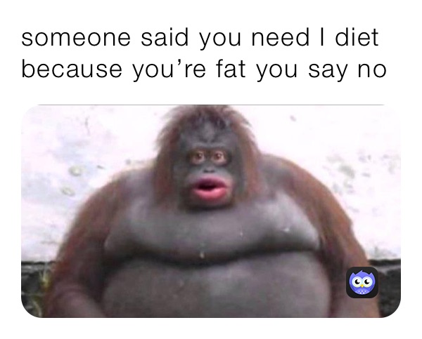 someone-said-you-need-i-diet-because-you-re-fat-you-say-no-lupie