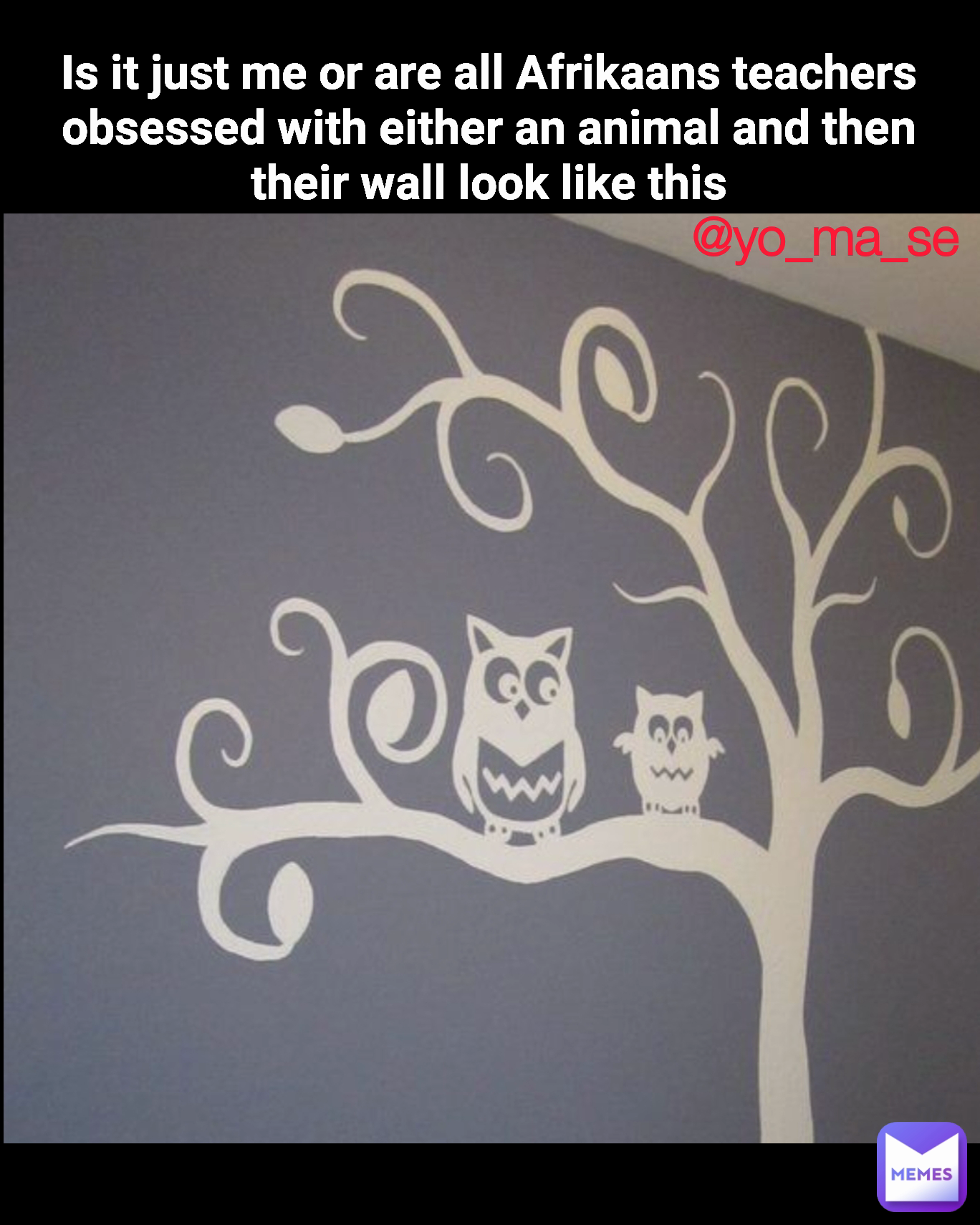 @yo_ma_se  Is it just me or are all Afrikaans teachers obsessed with either an animal and then their wall look like this