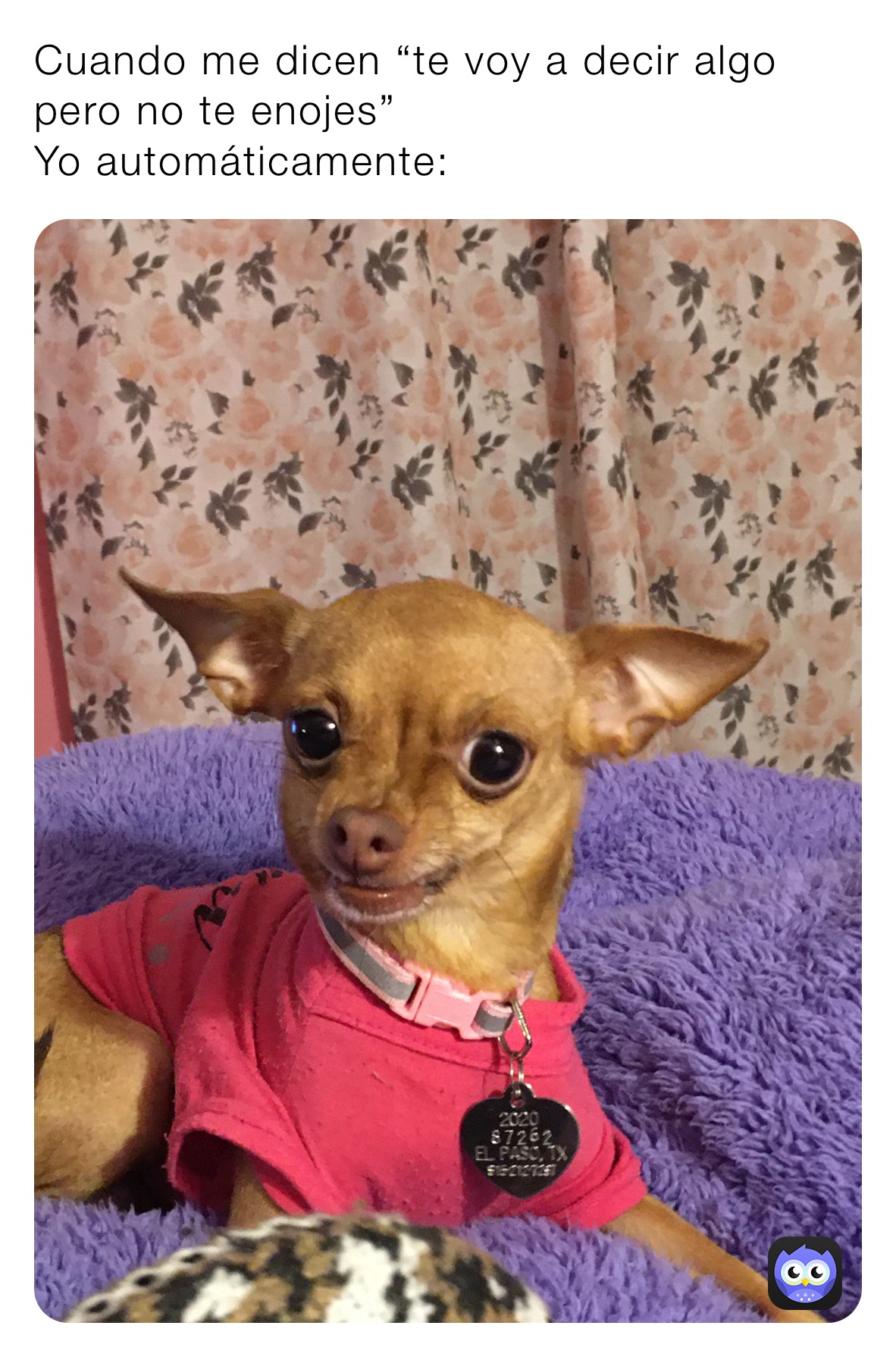 Cuando me dicen “te voy a decir algo pero no te enojes”
Yo automáticamente: