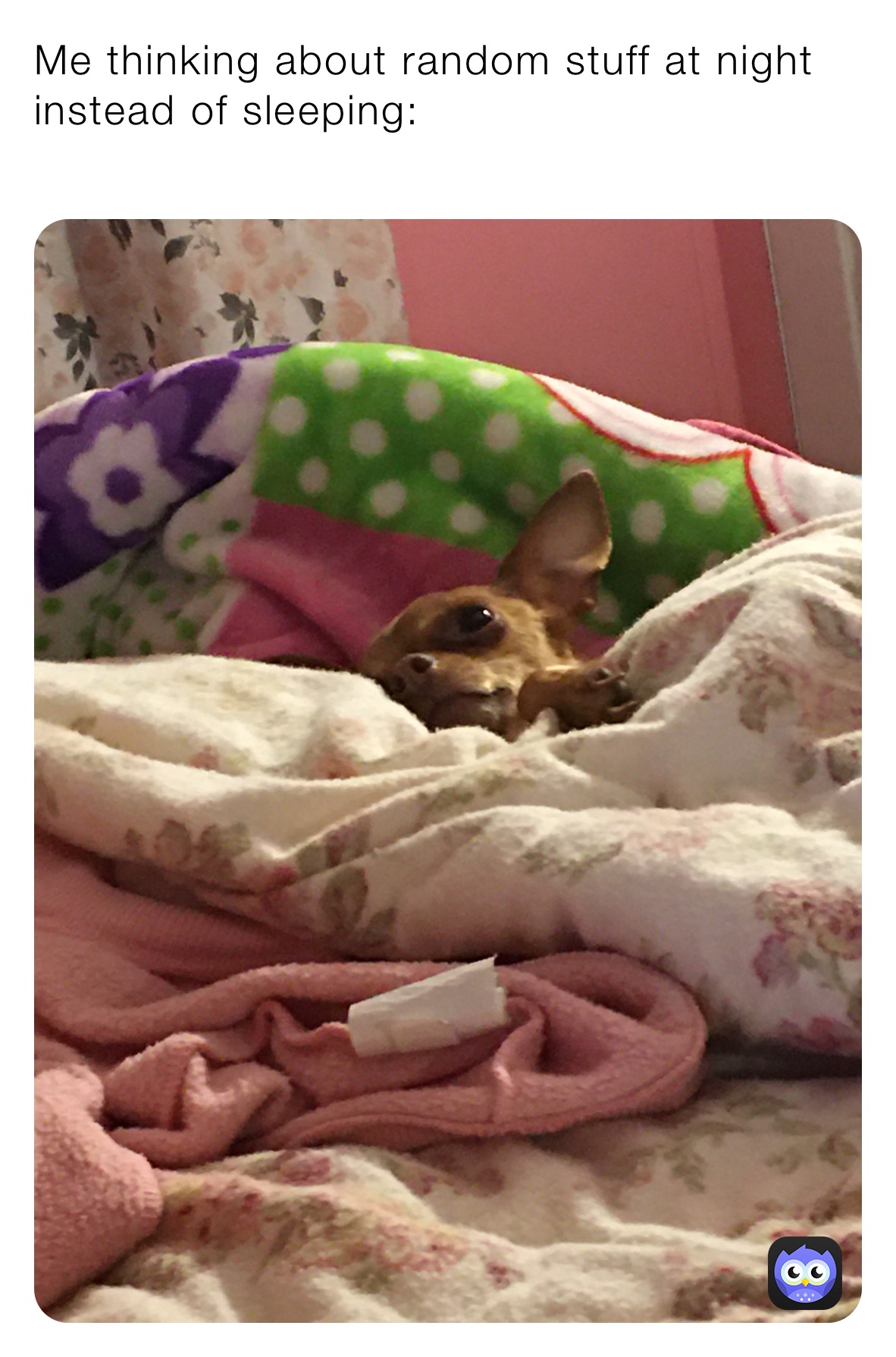 Me thinking about random stuff at night instead of sleeping:
