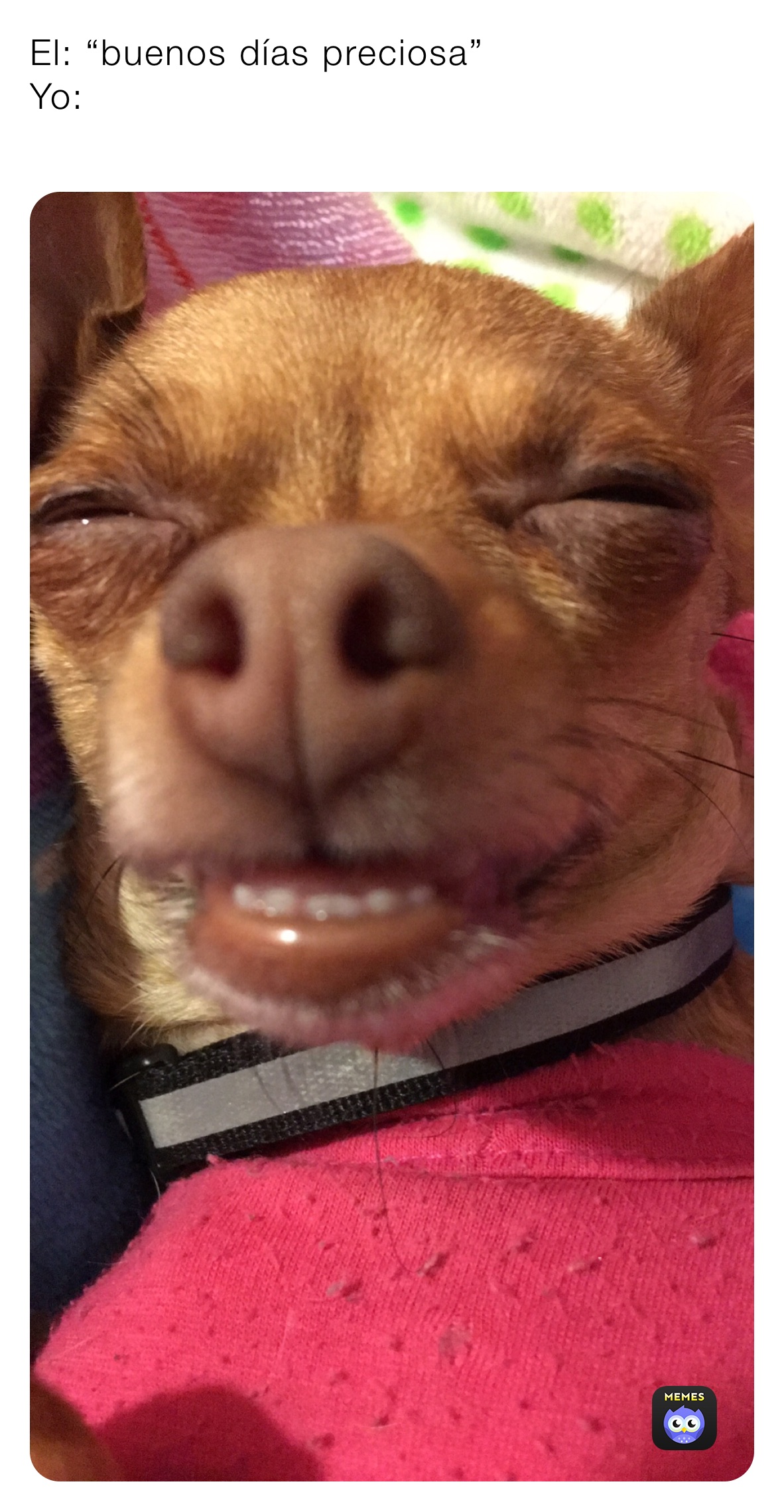 El: “buenos días preciosa”
Yo:
