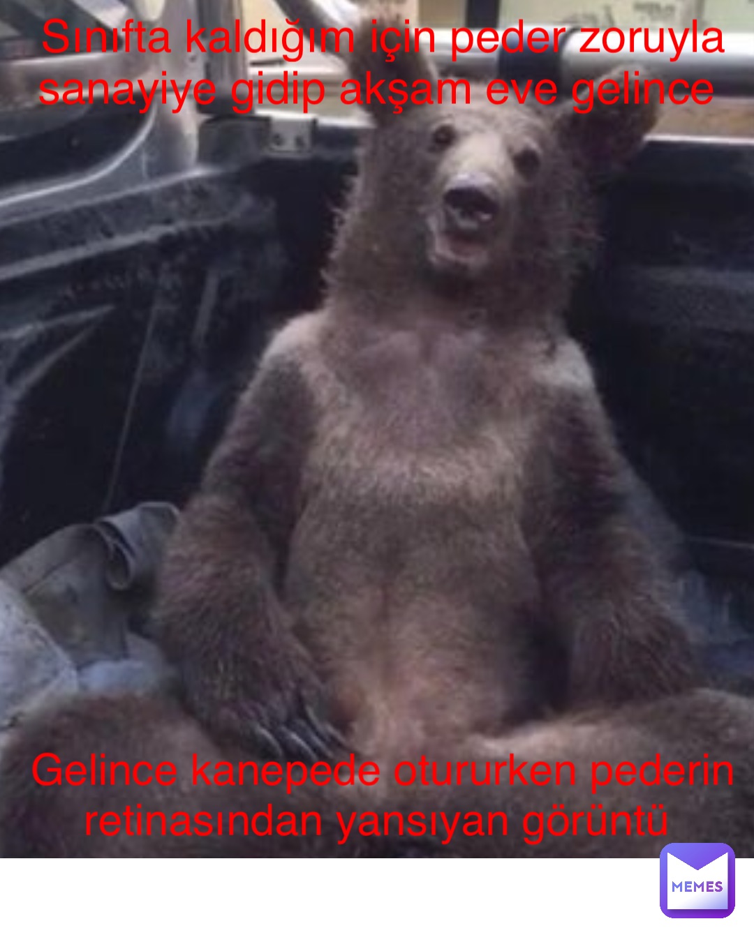 Meme by memersoficall