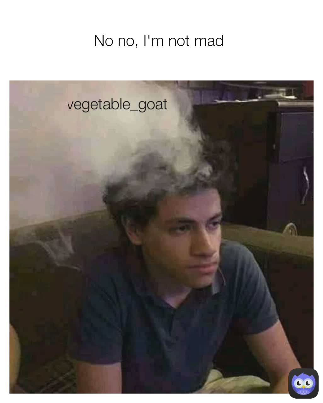 No no, I'm not mad  vegetable_goat 
