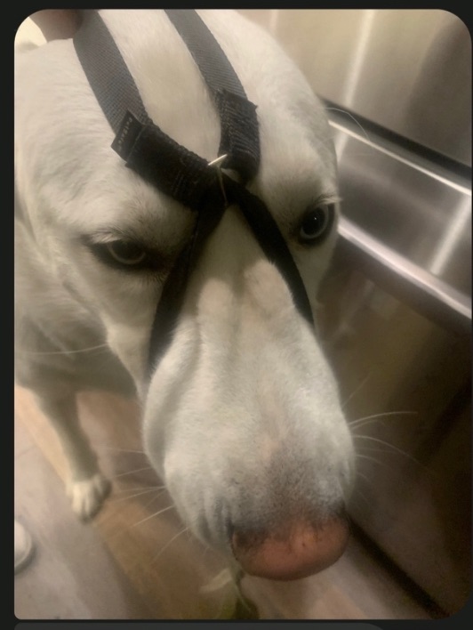 Meme by rivonnediaz91