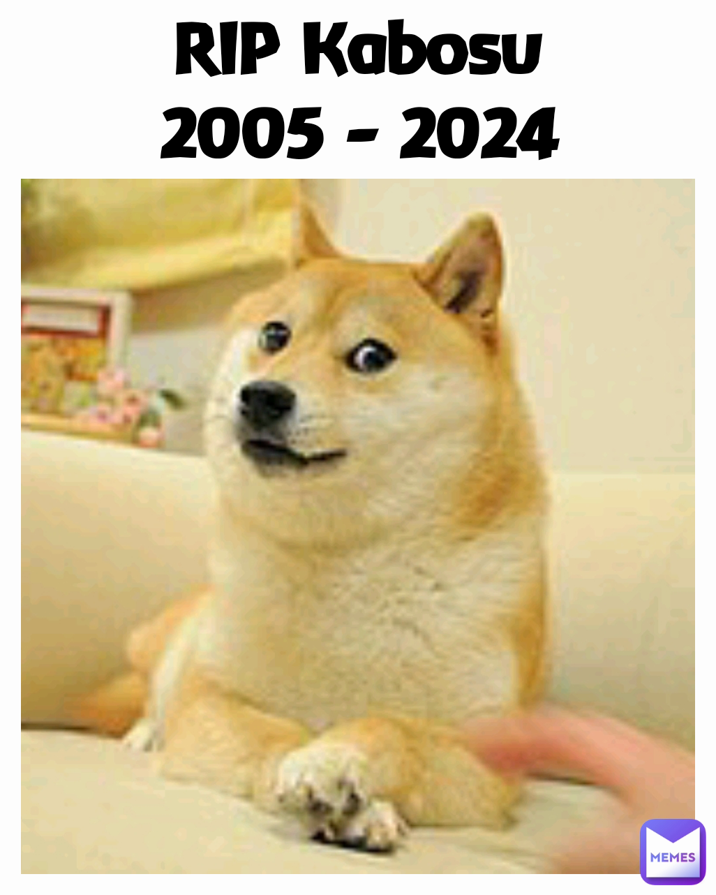 RIP Kabosu
2005 - 2024