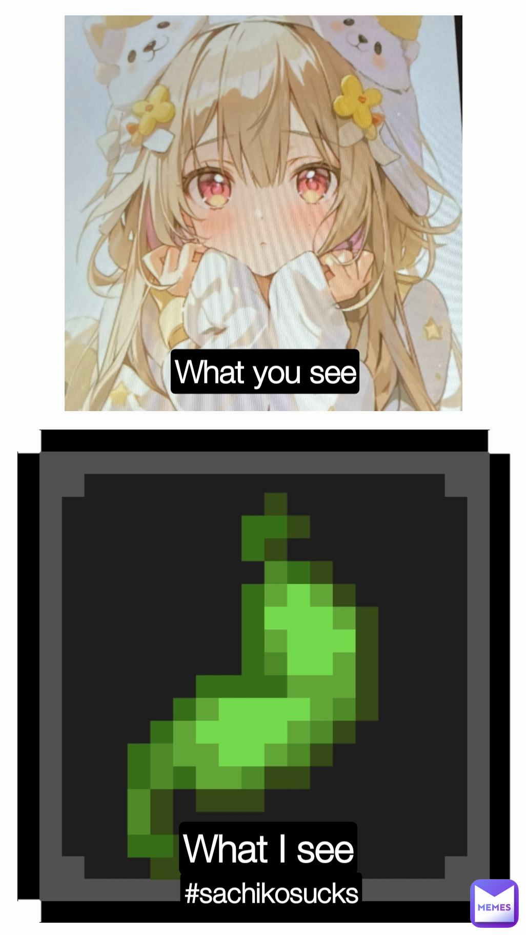 What you see What I see #sachikosucks