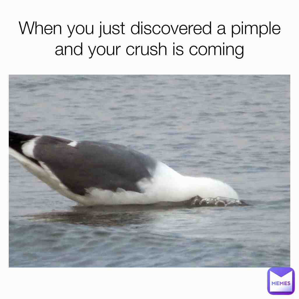 Meme shared by @T85_Jr