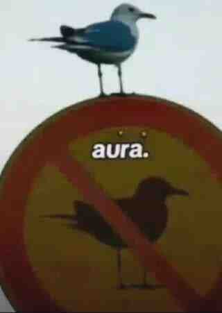 Meme preview